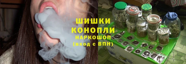 гидропоника Бородино