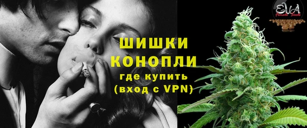 гидропоника Бородино
