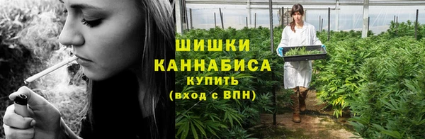 гидропоника Бородино