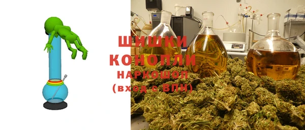 гидропоника Бородино