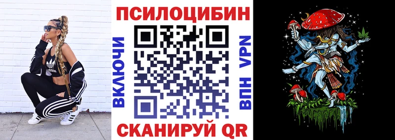 Галлюциногенные грибы Psilocybe  где купить   blacksprut онион  Череповец 